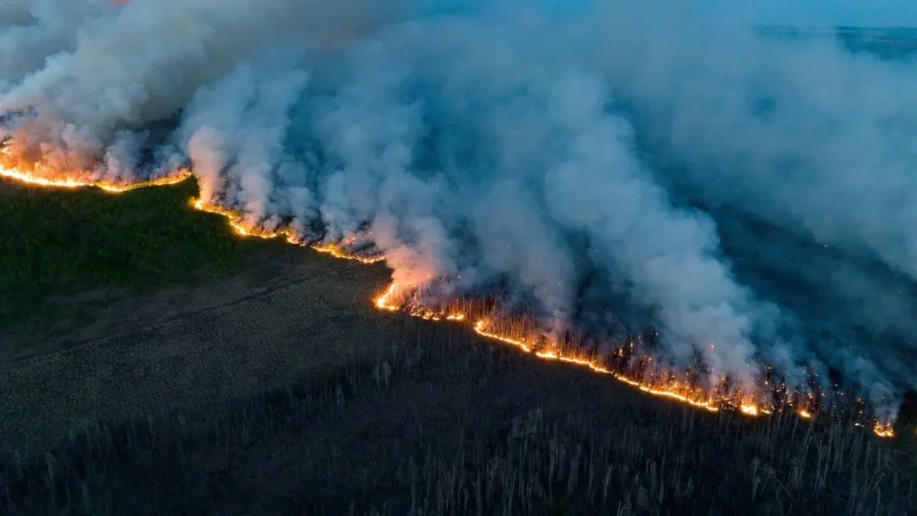 wildfires
